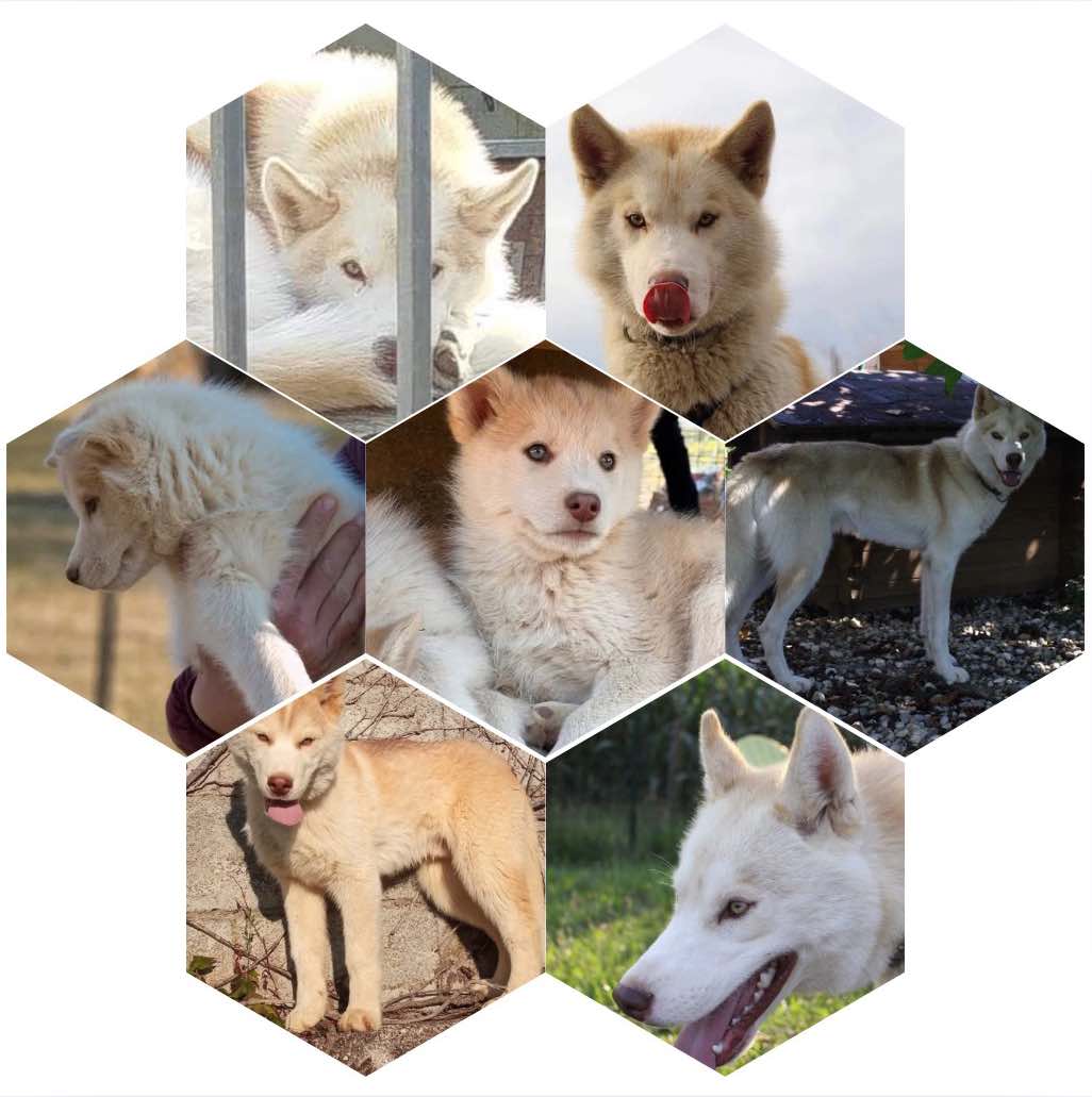 474035639_623701900156865_8390084831825572088_n
